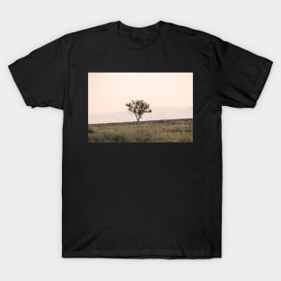 Autumn tree in the sunset T-Shirt